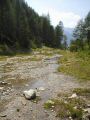 HEILIGENBLUT_2003_090_tm.jpg